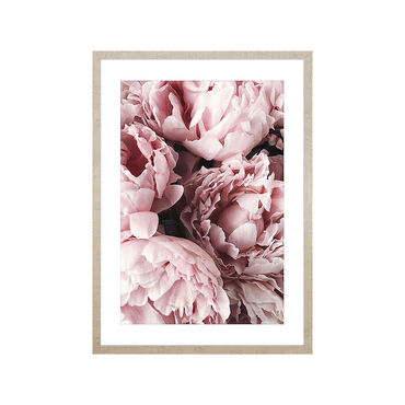 Obraz w ramie, 50 x 70 cm, peonie