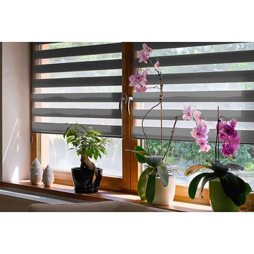 Roleta dzień noc zebra DecoTeam, 72 x 150 cm, szara
