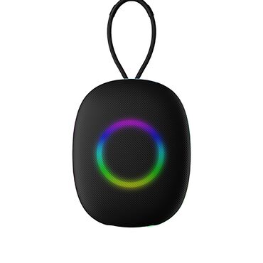 BT SPEAKER_1