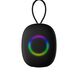 BT SPEAKER