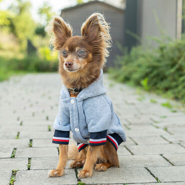 ACTIVE PET_Ubranko dla pupila, bluza, M_4