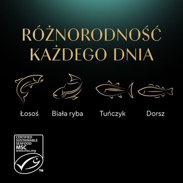 Mokra karma Sheba Sauce Collection Rybne Smaki, dla dorosłych kotów, 40 x 85 g