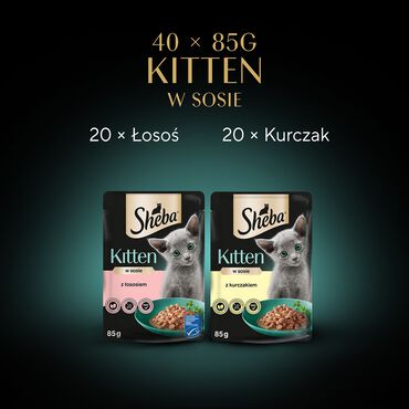 Mokra karma Sheba Kitten Wybór Smaków, dla kociąt, 40 x 85 g