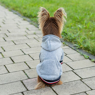 ACTIVE PET_Ubranko dla pupila, bluza, M_5