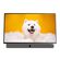 METZ_Telewizor przenośny 24” METZ 24MPE7000, FHD, Google TV, biały_1