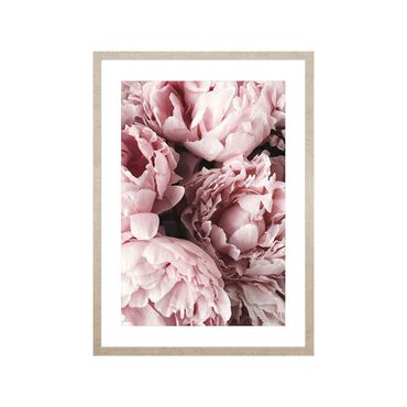 Obraz w ramie, 50 x 70 cm, peonie_1