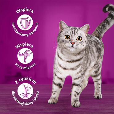 Mokra karma dla kotów Whiskas, saszetki, drób, 80 x 85 g