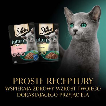 Mokra karma Sheba Kitten Wybór Smaków, dla kociąt, 40 x 85 g