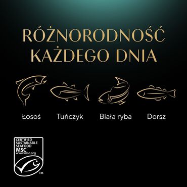 Mokra karma Sheba Delicacy Rybne Smaki, dla dorosłych kotów, 80 x 85 g