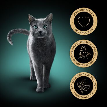 Mokra karma Sheba Selection Select Slices Drobiowe Smaki, dla dorosłych kotów, 40 x 85 g