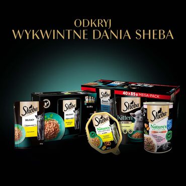Mokra karma Sheba Sauce Collection Rybne Smaki, dla dorosłych kotów, 40 x 85 g