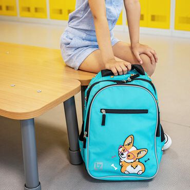 Plecak szkolny, wzór Corgi Dog, dwukomorowy, 1-3 klasa