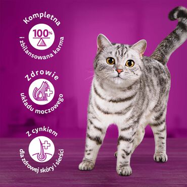 Mokra karma Whiskas, dla dorosłych kotów, z wołowiną, 24 x 400 g