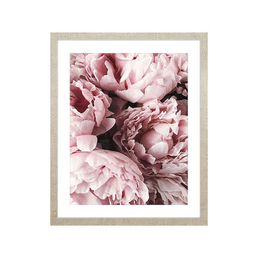 Obraz w ramie, 40 x 50 cm, peonie_1