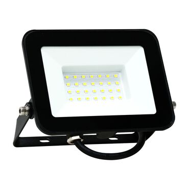 SANICO_Naświetlacz LED Sanico SMD, 30 W, 6500K_1