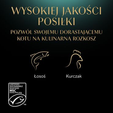 Mokra karma Sheba Kitten Wybór Smaków, dla kociąt, 40 x 85 g