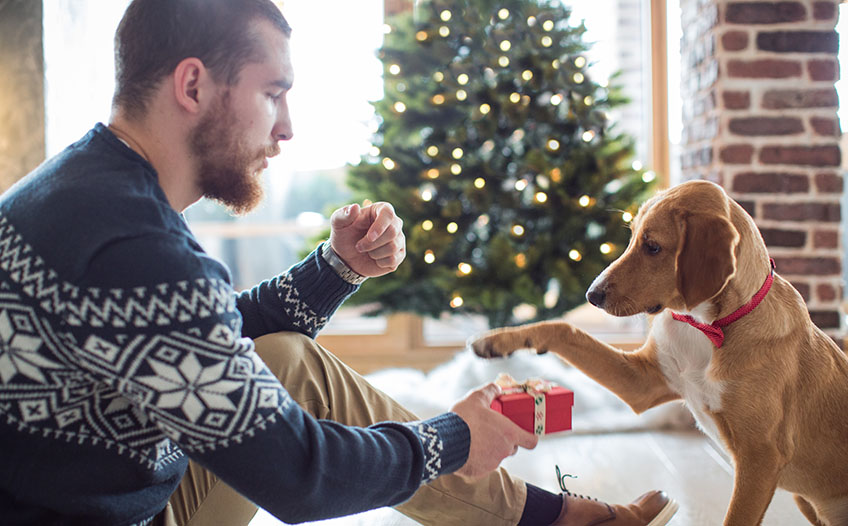 Mężczyzna z psem w świątecznej dekoracji