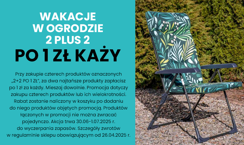 Promocja: 2 plus 2