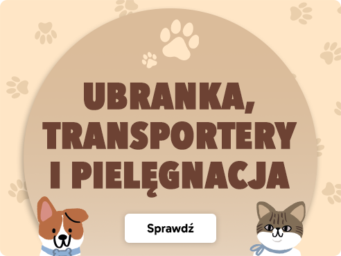Promocja: V