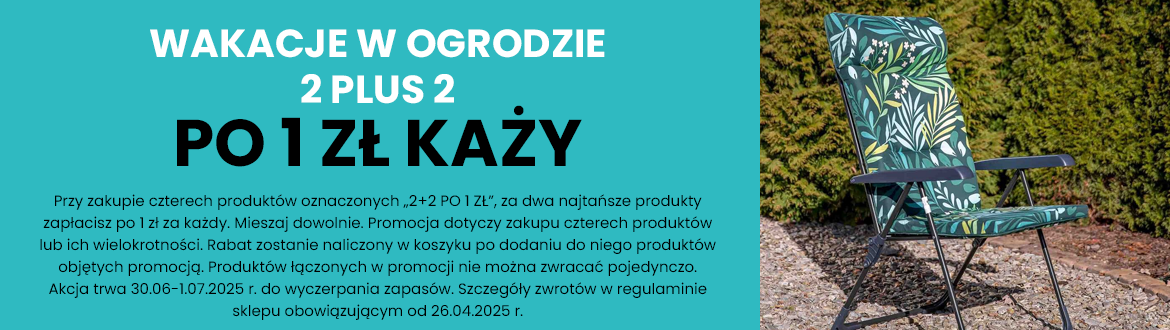 Promocja: 2 plus 2